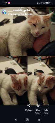 Merhaba yavrumuza acil yuva arıyoruz - MAMAK / ANKARA