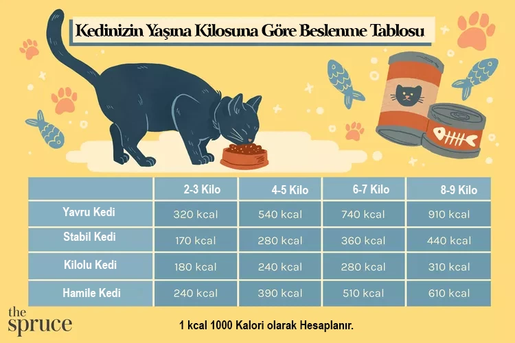 Kedi Beslenme Tablosu