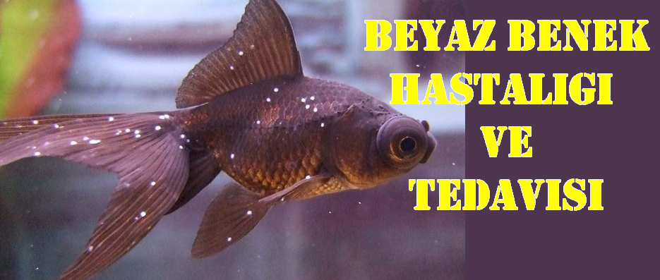 Beyaz Benek Hastalığı